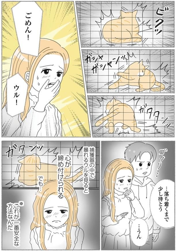ごめん！