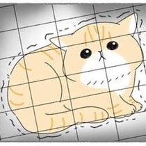 子どもにいじめられていた猫を保護。人間嫌いな野良猫のために準備したもの