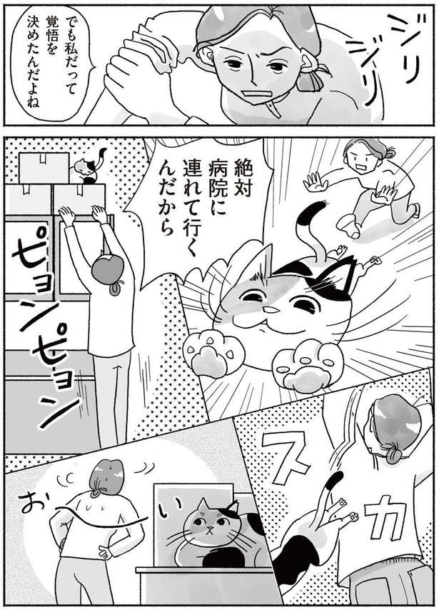 覚悟を決めたんだよね