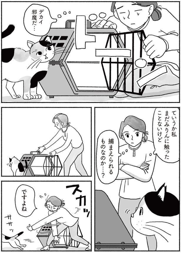 捕まえられるものなのか…？