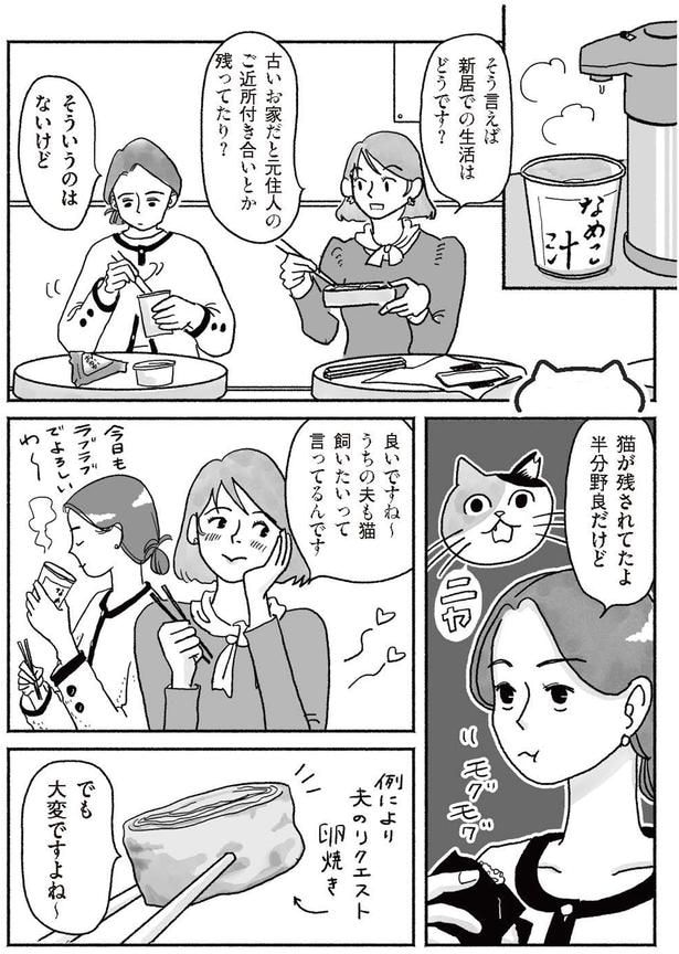 猫が残されてたよ