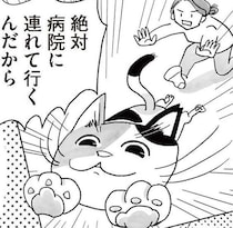半分野良とはいえ、家に居着く猫。予防接種に連れて行くのにひと騒動!?／猫待ち古民家のレシピ帖1（4）