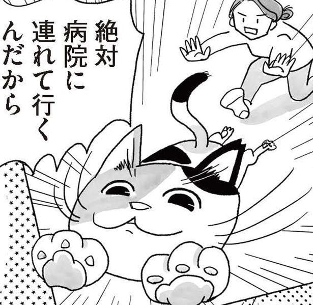 半分野良とはいえ、家に居着く猫。予防接種に連れて行くのにひと騒動!?／猫待ち古民家のレシピ帖1（4）