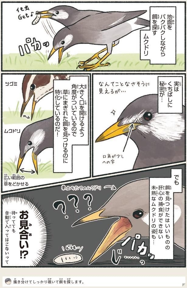 お見合い！？