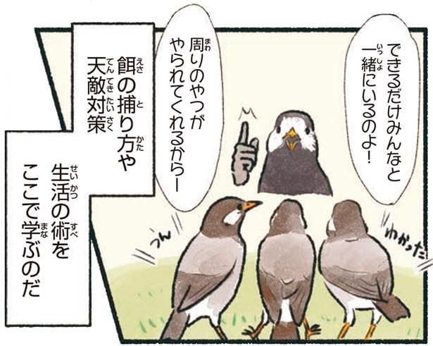 生活の術をここで学ぶのだ
