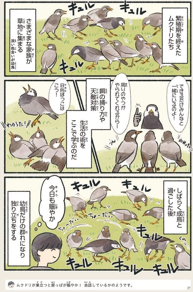 今日も賑やか