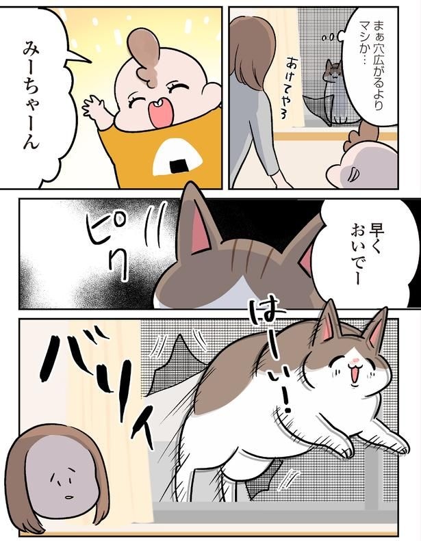 早くおいでー