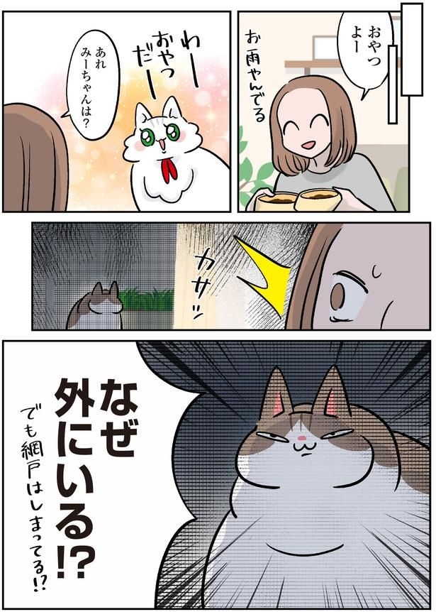 網戸はしまってる！？