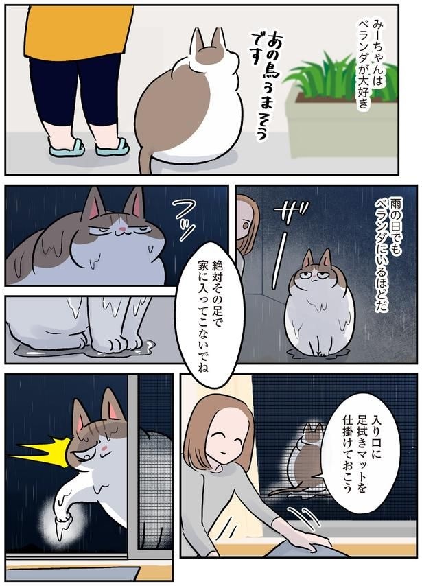絶対その足で家に入ってこないでね