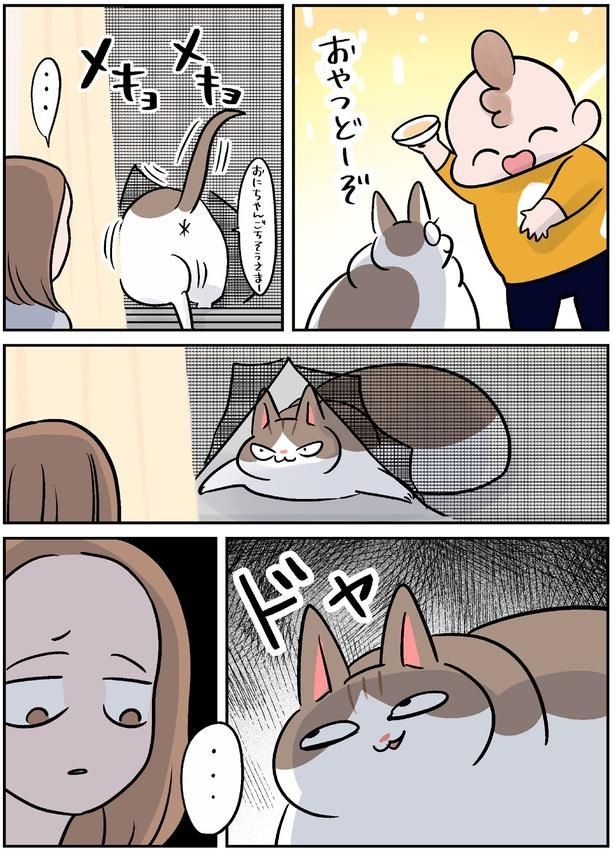 ドヤ