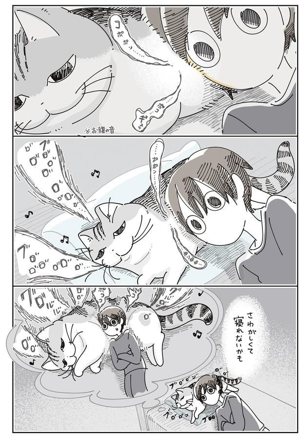 コポポン…