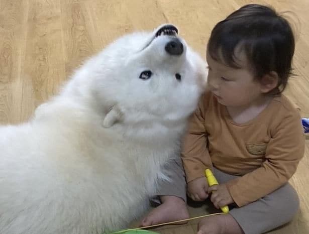 しっかりと息子さんを見守っています▶︎赤ちゃんの頃から仲良し（⇒次へ）