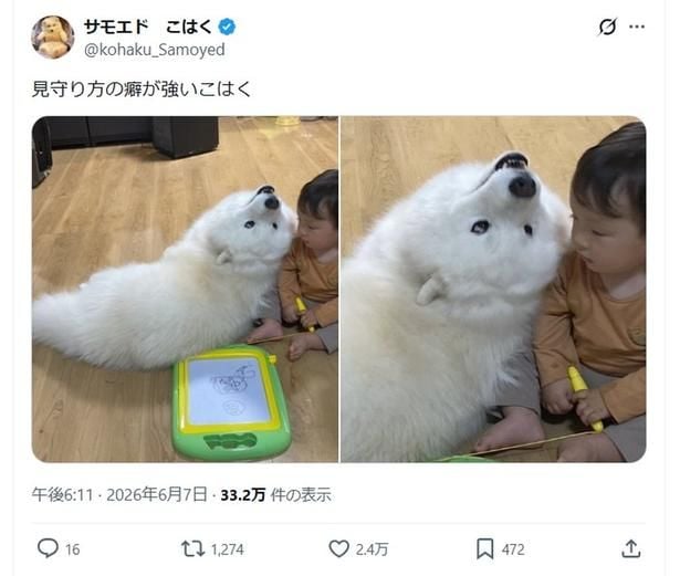「見守り方のクセ」が話題になりました▶︎ぴったりとくっつくワンコと息子さん（⇒次へ）
