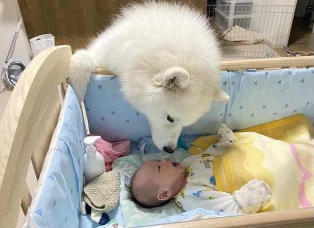 2人にしか分からないお喋り▶︎お行儀がよいこはくちゃん（⇒次へ）