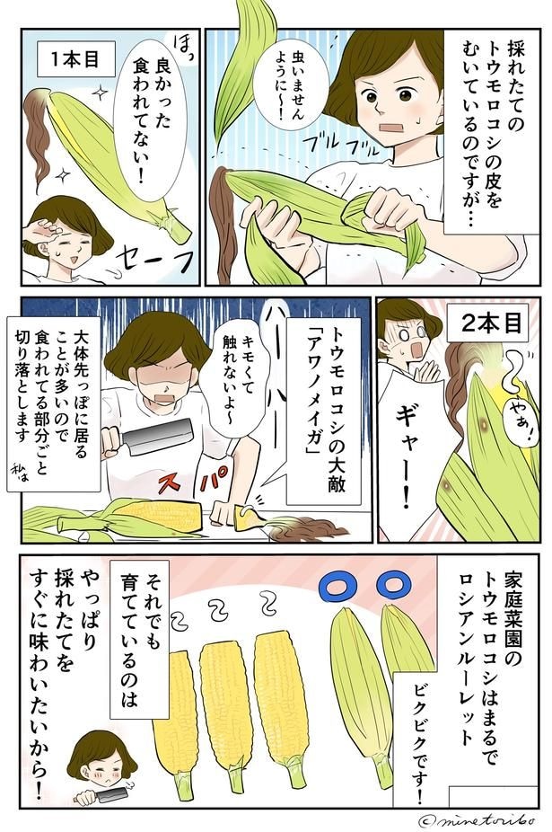 採れたてをすぐに味わいたいから！