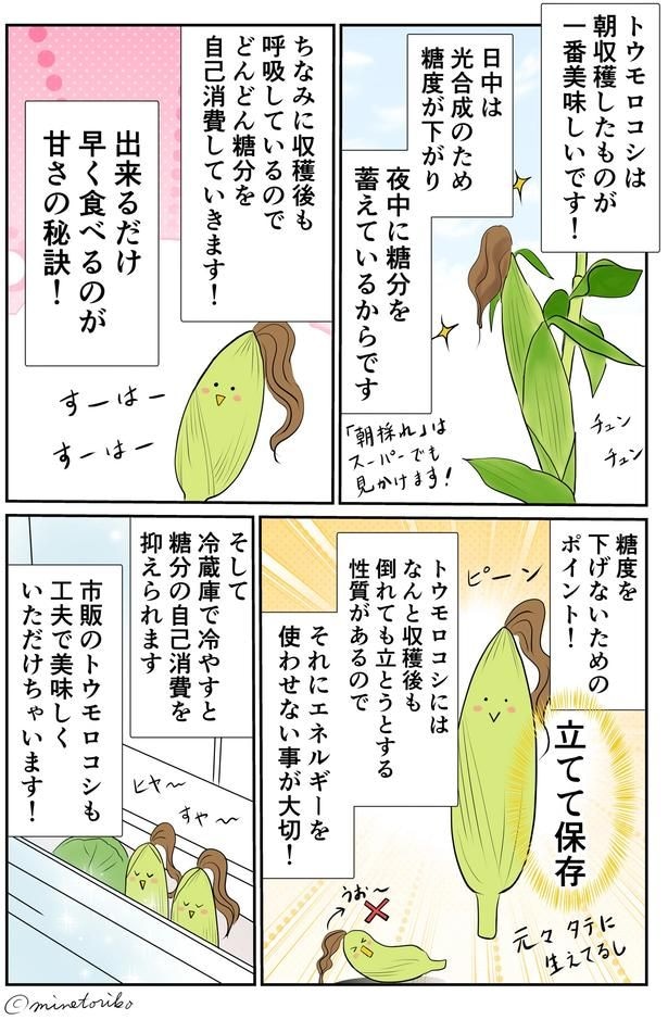 立てて保存