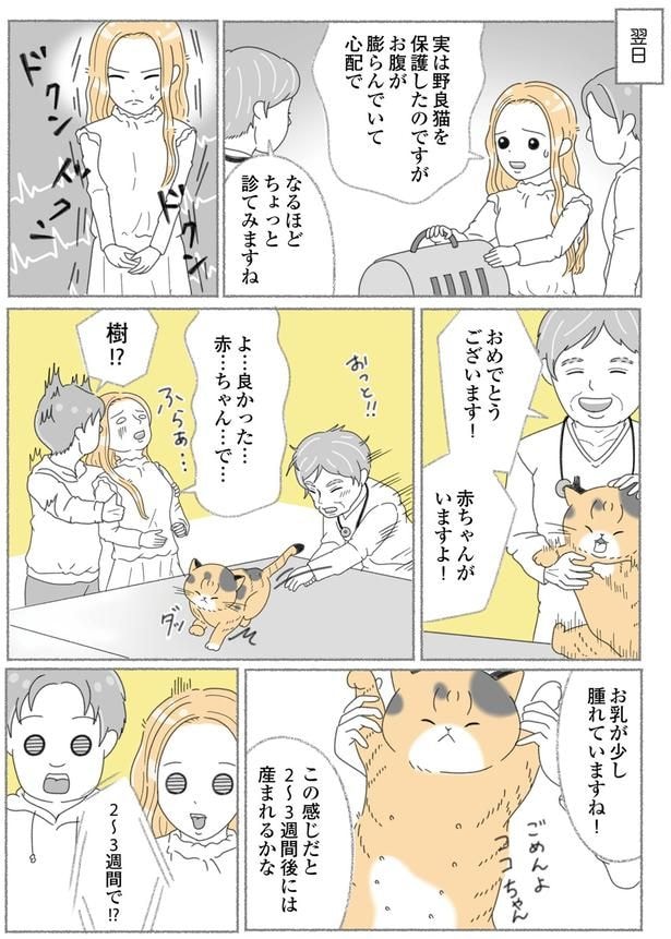 お腹が膨らんでいて