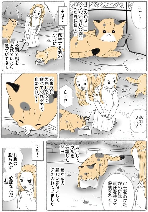餌をあげていたら近づいてきて