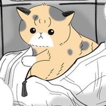 お腹のふくらみが心配な野良猫。気になって動物病院で診てもらうと？