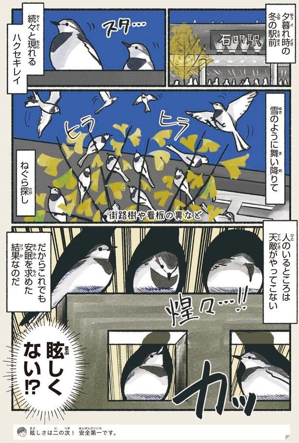 眩しくない！？