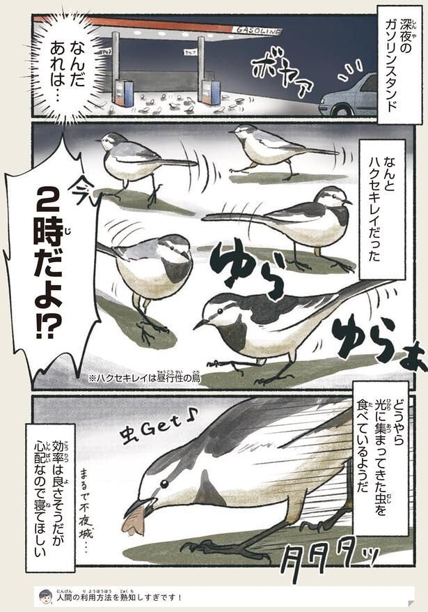 心配なので寝てほしい