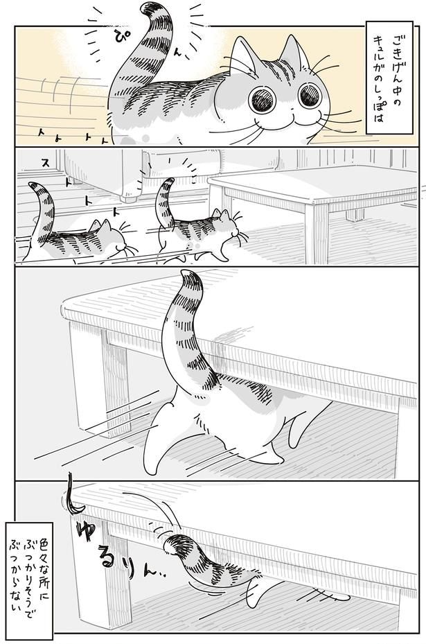 ごきげん中のしっぽ