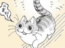 ぶつかりそうでぶつからない？ ピンと立ったごきげんなネコのしっぽ