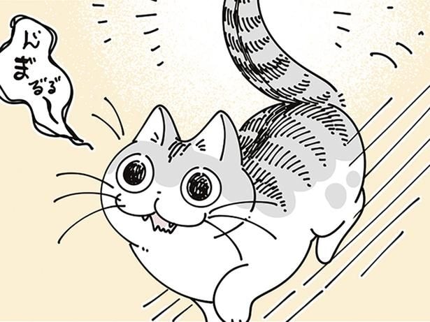 ぶつかりそうでぶつからない？ ピンと立ったごきげんなネコのしっぽ