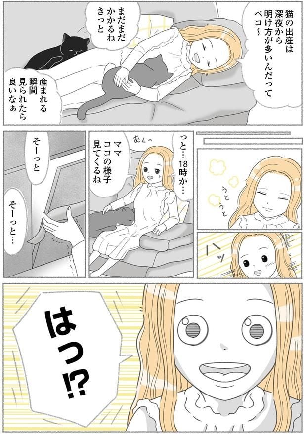 様子見てくるね
