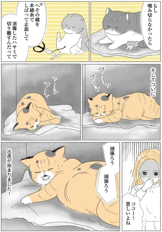 苦しいよね