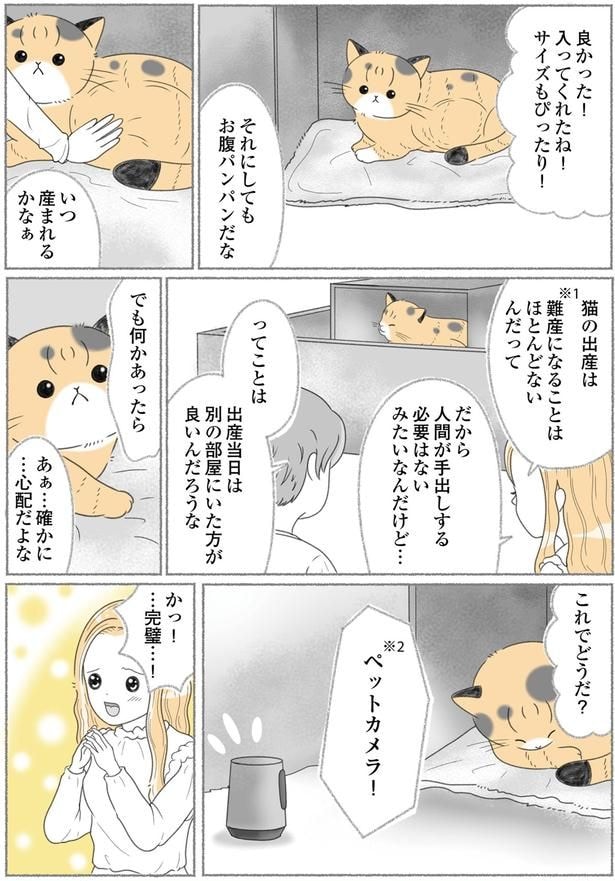 いつ産まれるかなぁ