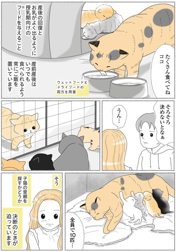 そろそろ決めないとなぁ
