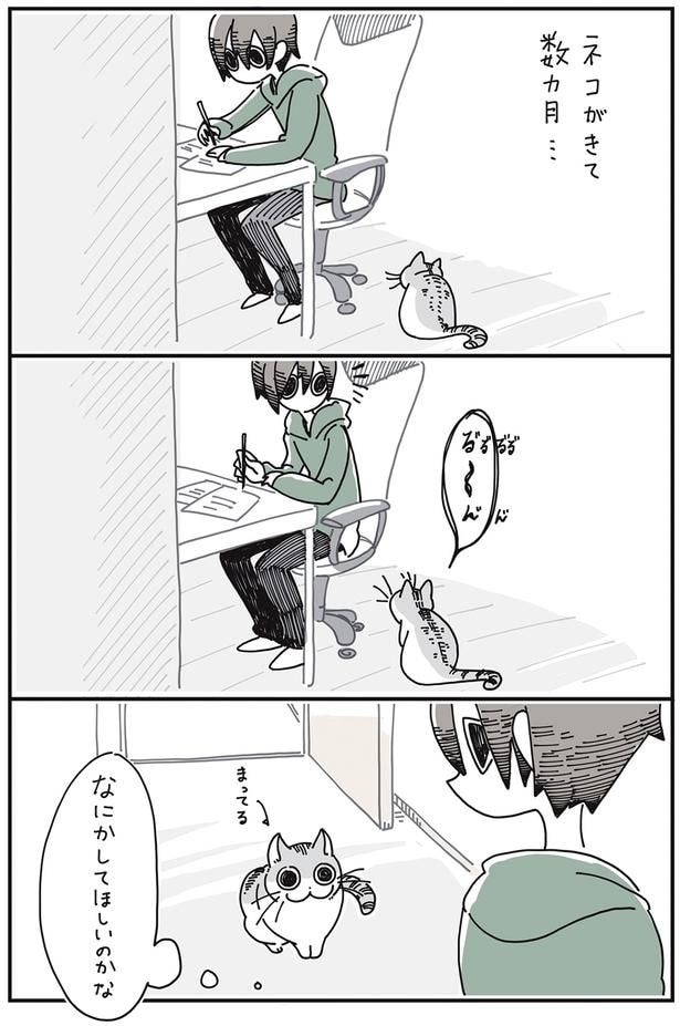 ネコがきて数ヵ月…
