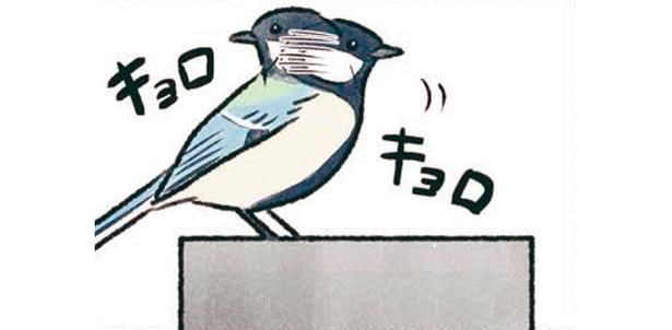 キョロキョロ