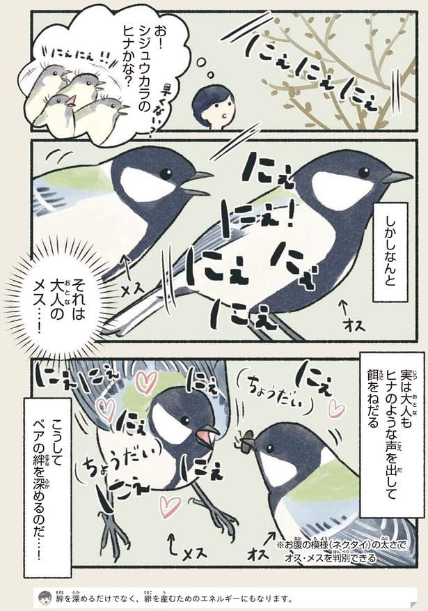 それは大人のメス…!