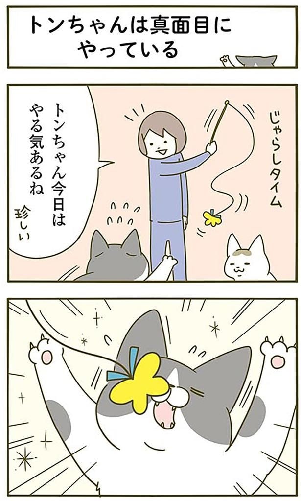 じゃらしタイム
