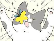 本人は真面目にやっている？ 珍しくやる気を出して遊ぶ猫の動きが気になる