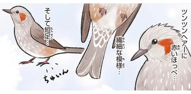 可愛い