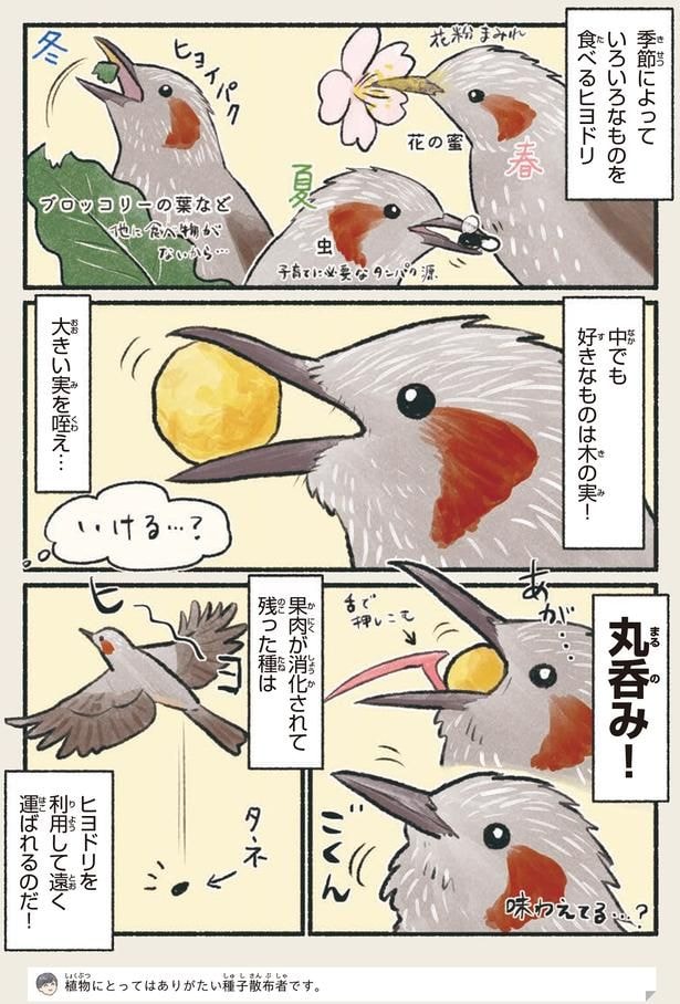 丸呑み！