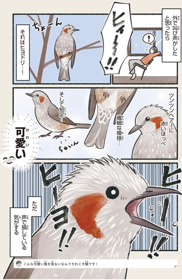 声で損している気がする