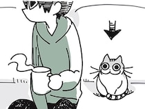 いつの間に!? 気づかぬうちに距離を詰めてくるネコに驚き
