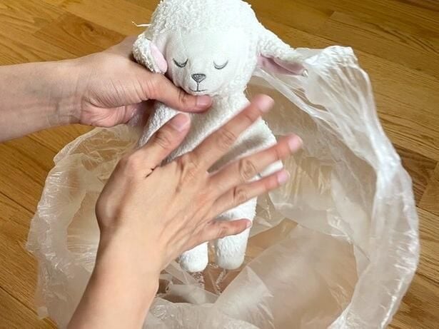 塩とぬいぐるみをしっかりシェイクできたら取り出して（▶次へ）