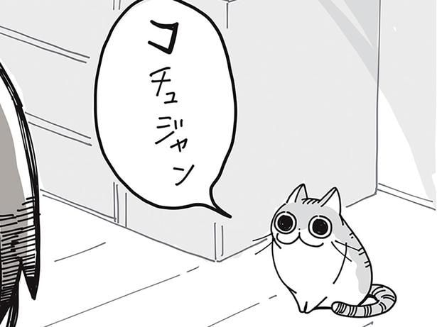 「コチュジャン」!?