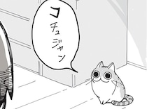 しっかり言葉喋ってない？ ネコの口から発される「コチュジャン」
