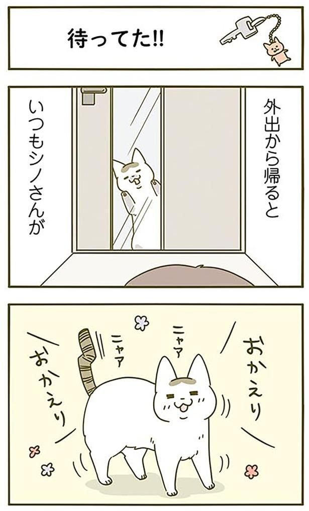 おかえりおかえり
