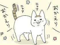飼い主の帰宅をニコニコで迎えてくれる猫。「ずっとここで待ってたんですよ」って本当？