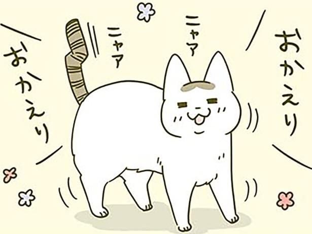 飼い主の帰宅をニコニコで迎えてくれる猫。「ずっとここで待ってたんですよ」って本当？