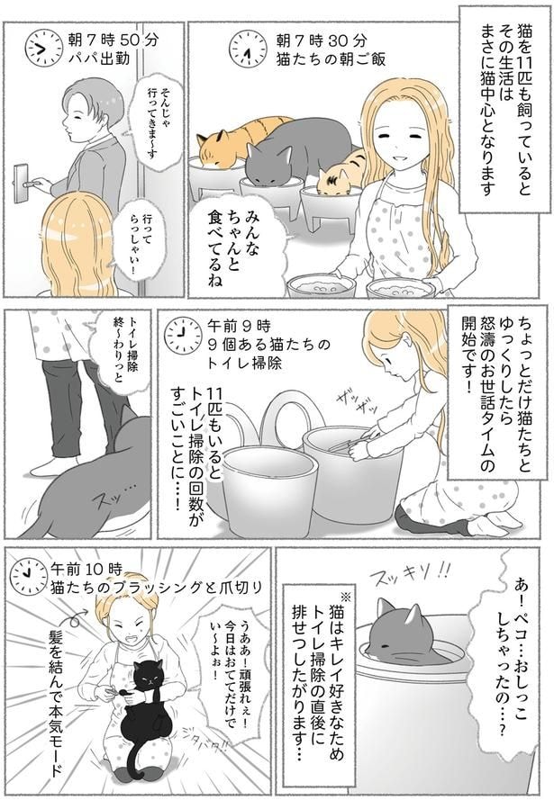 怒涛のお世話タイム