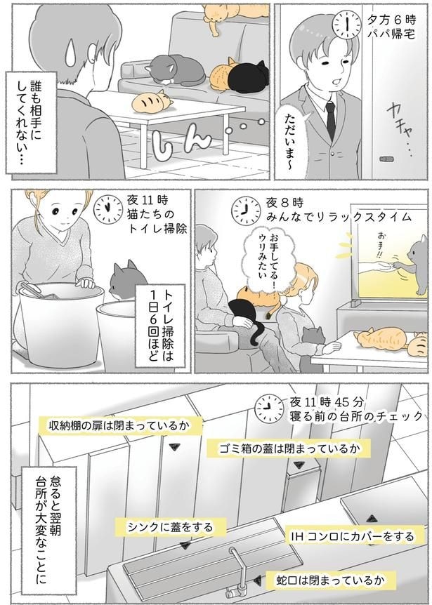 寝る前の台所のチェック