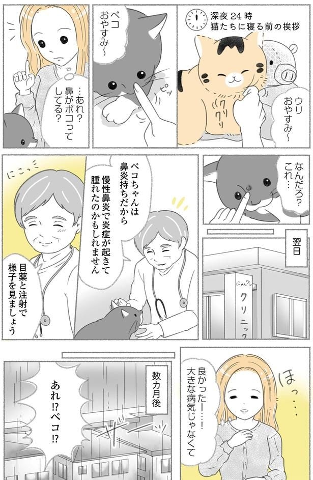 鼻がポコってしてる？